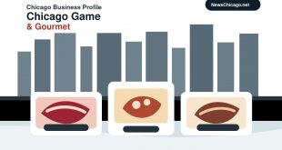Illustration of specialty meats on a butcher counter with the Chicago skyline for a Chicago Game and Gourmet business profile