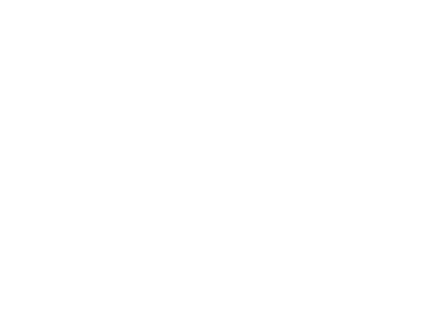 Flaco's Tacos logo