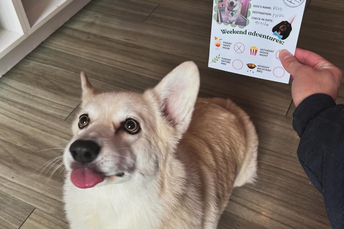 Hill Family Pet Care