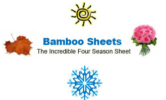 Season Bamboo